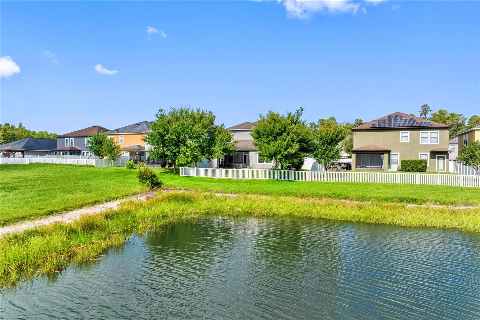 Backyard - 19343 PADDOCK VIEW DR, TAMPA