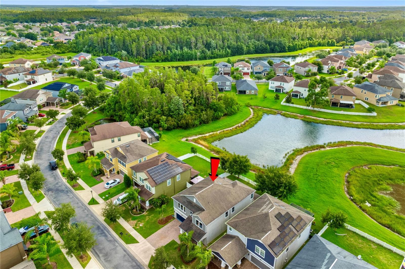House from above - 19343 PADDOCK VIEW DR, TAMPA