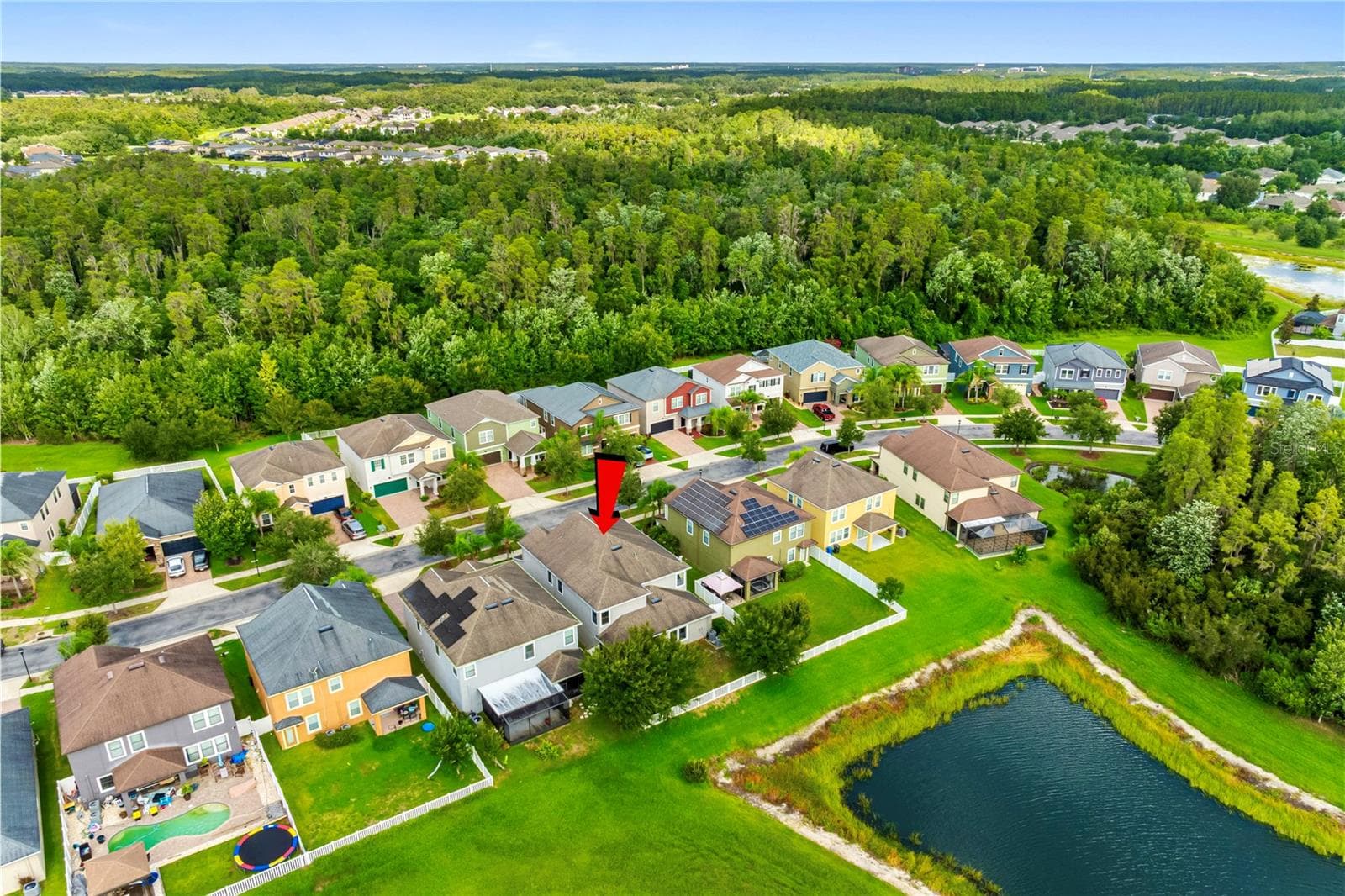 House from above - 19343 PADDOCK VIEW DR, TAMPA