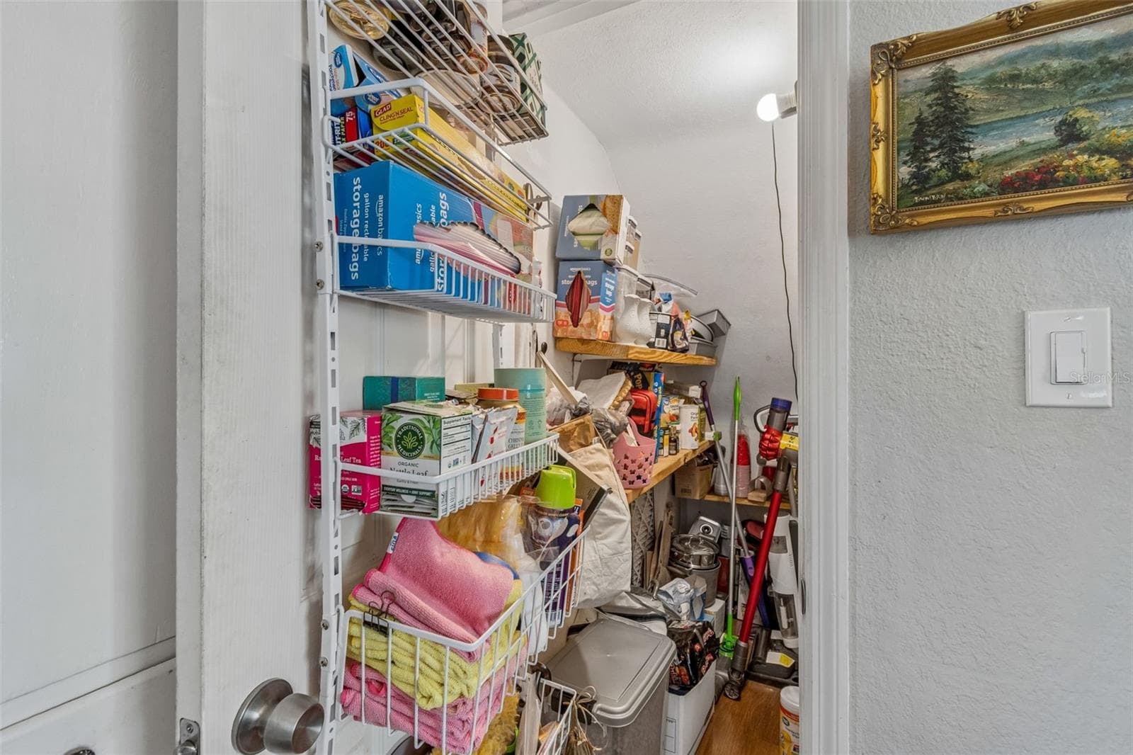 Under the stairs pantry & storage closet - 2914 N WOODROW AVE, TAMPA