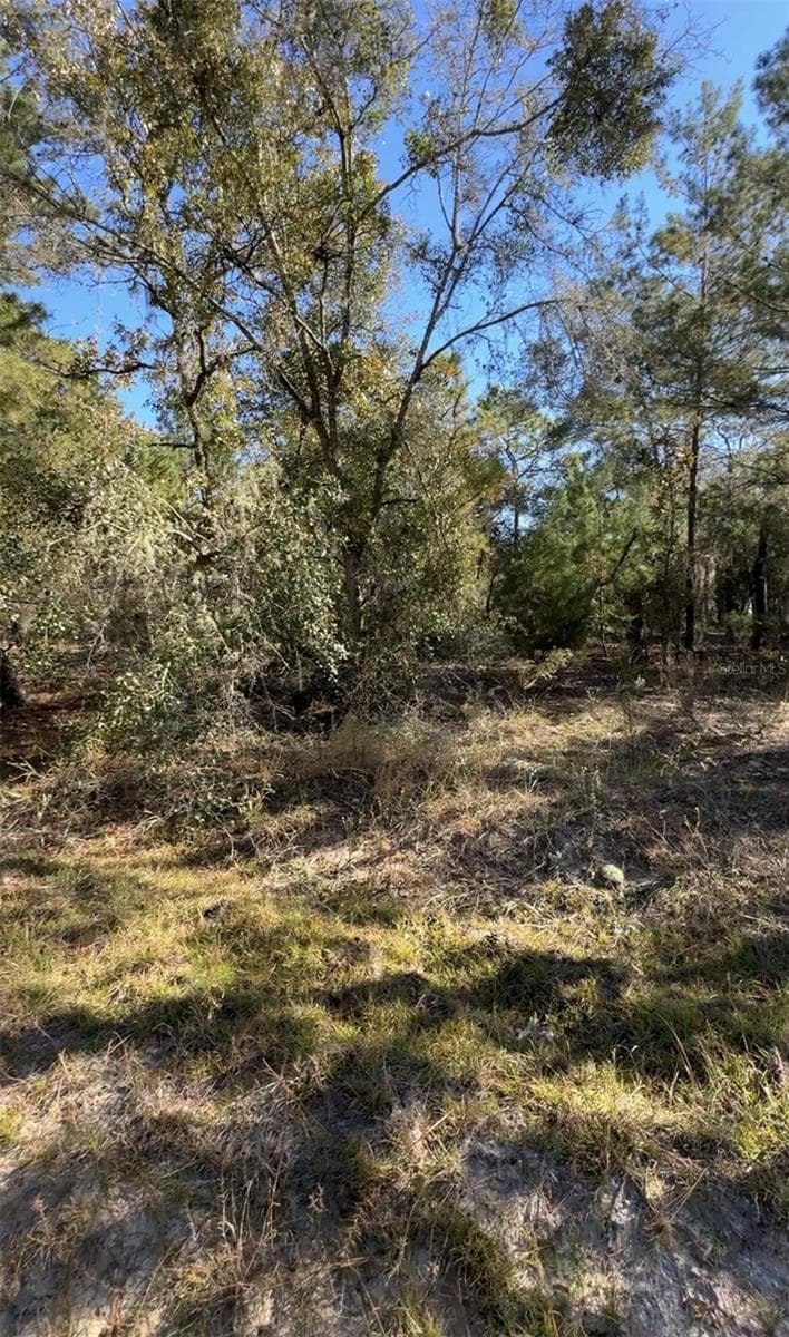 Land at 204 WALES ST, INTERLACHEN, photo 7 of 8