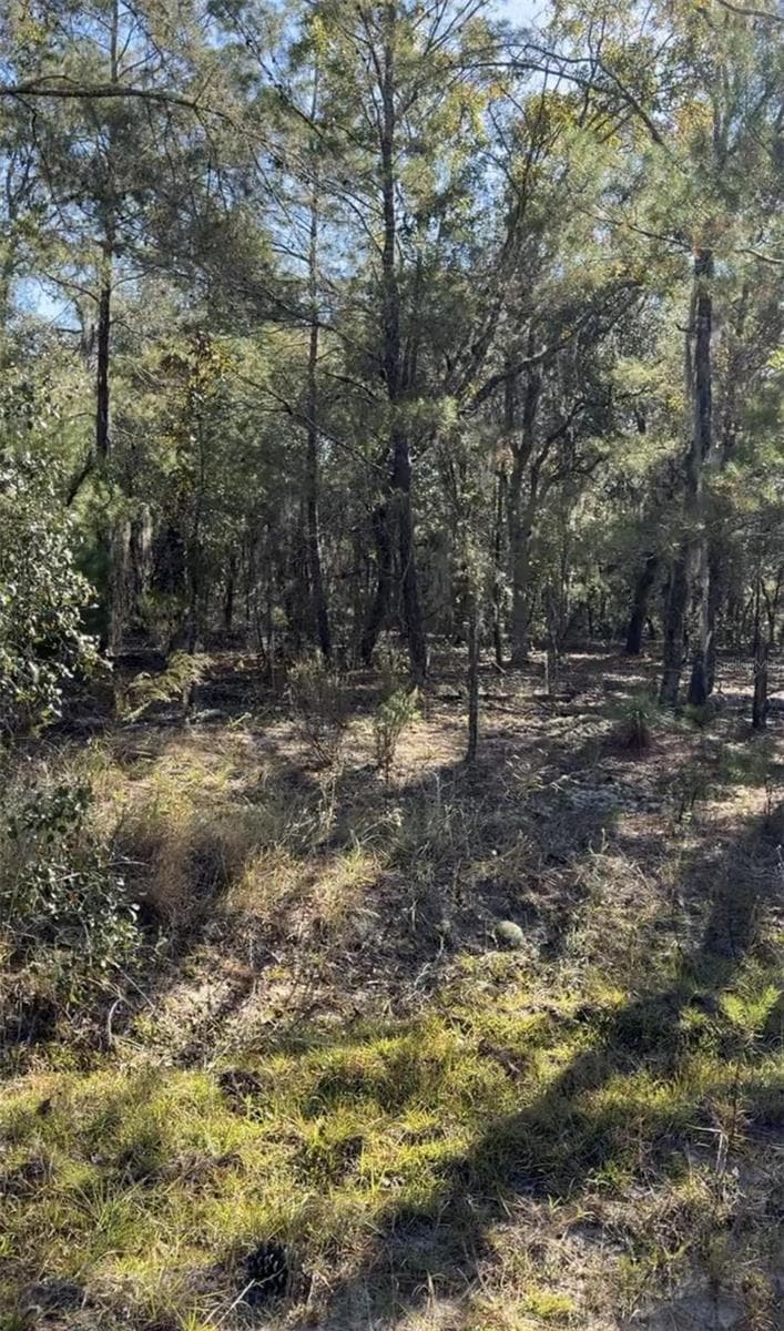 Land at 204 WALES ST, INTERLACHEN, photo 8 of 8