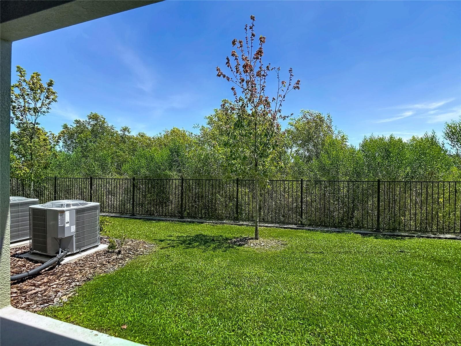 Conservation views - 32067 SPICEBERRY ST, SAN ANTONIO