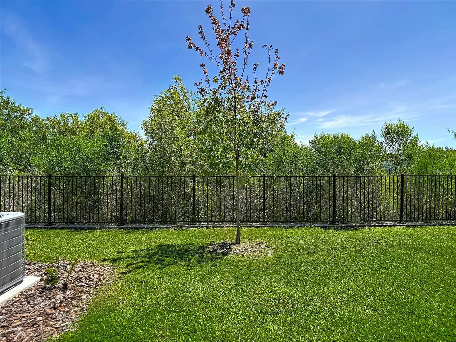 Conservation Views - 32067 SPICEBERRY ST, SAN ANTONIO