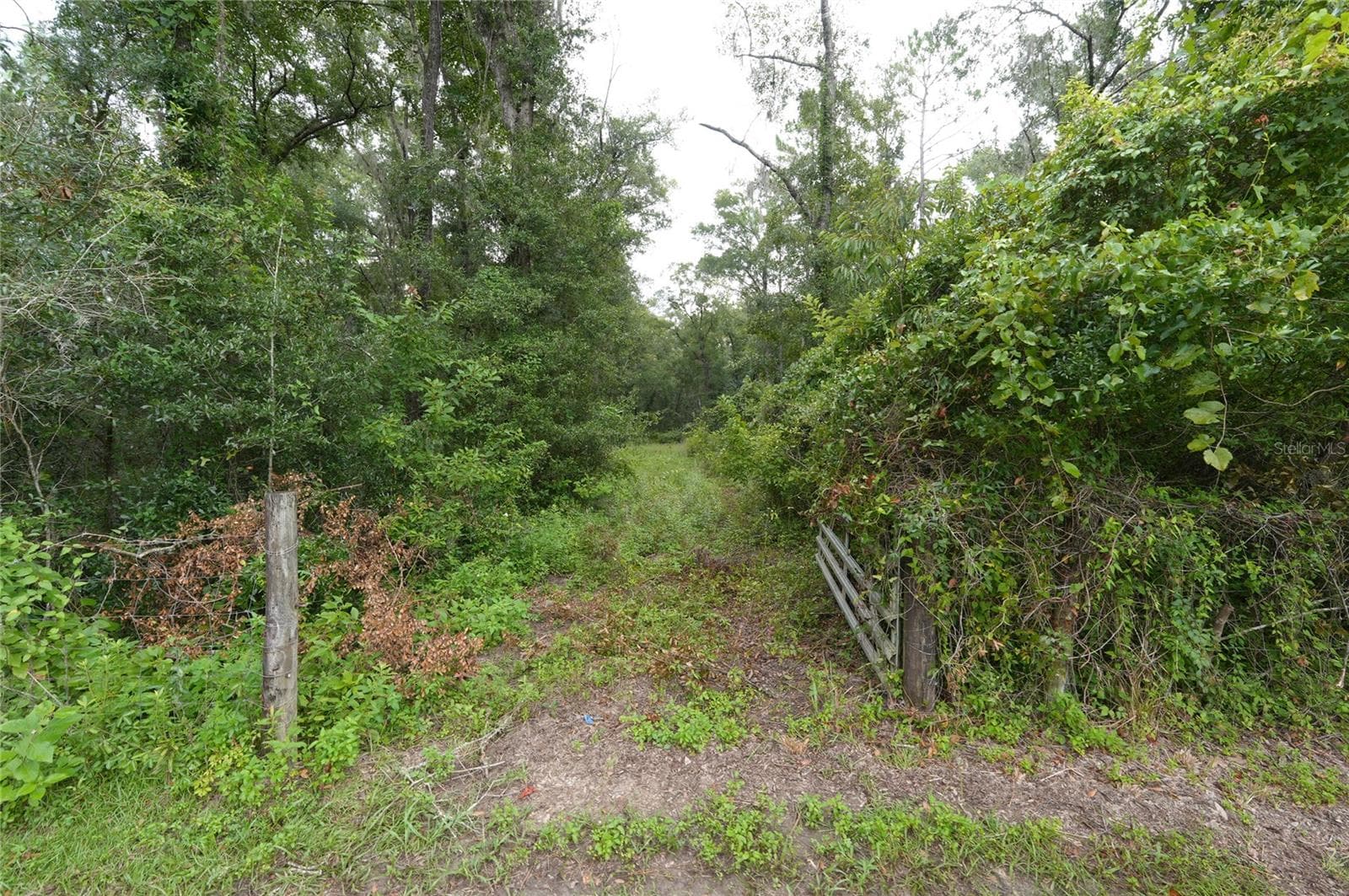 Land at 13205 S CRATER TER, FLORAL CITY, photo 4 of 19