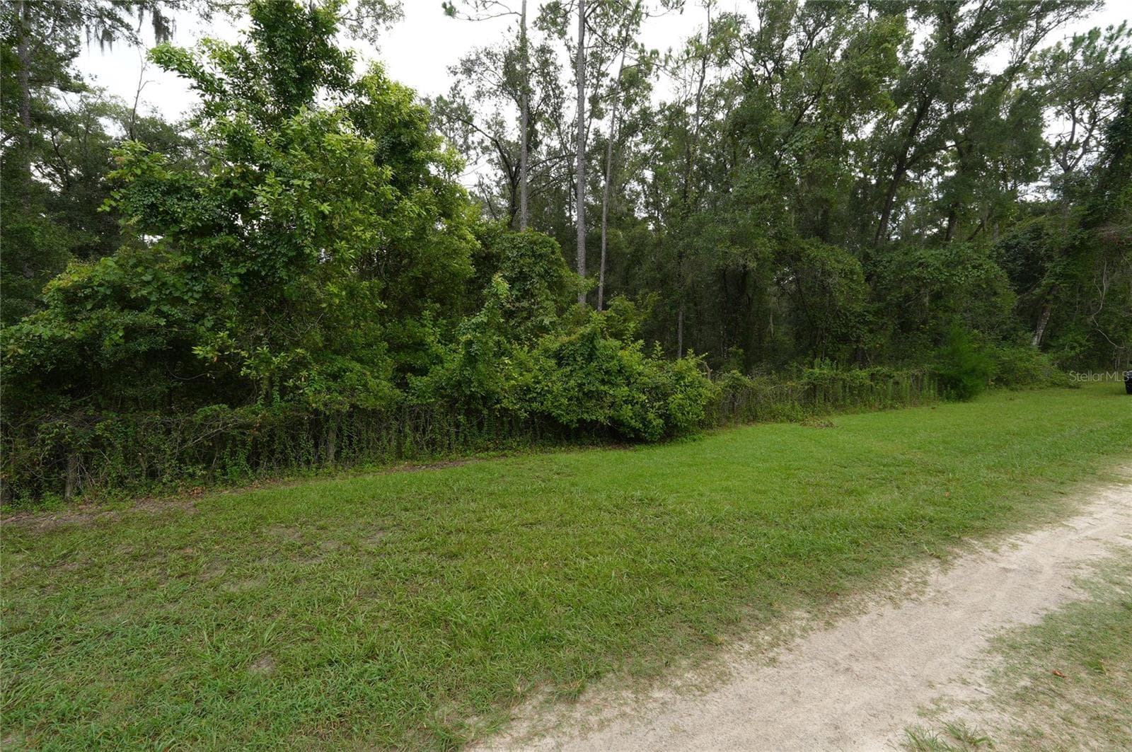 Land at 13205 S CRATER TER, FLORAL CITY, photo 8 of 19