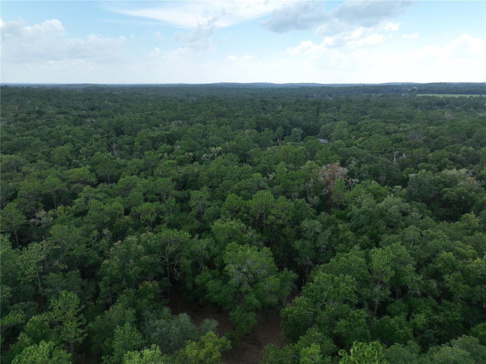 Land at 13205 S CRATER TER, FLORAL CITY, photo 19 of 19