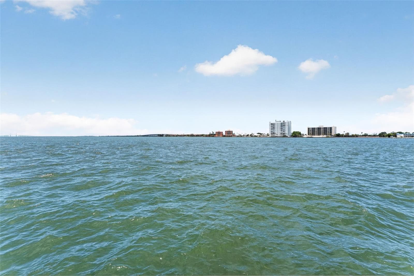 Enjoy the wildlife in your backyard including dolphins, manatees, birds, fish and more! - 2936 68TH AVE S, ST PETERSBURG
