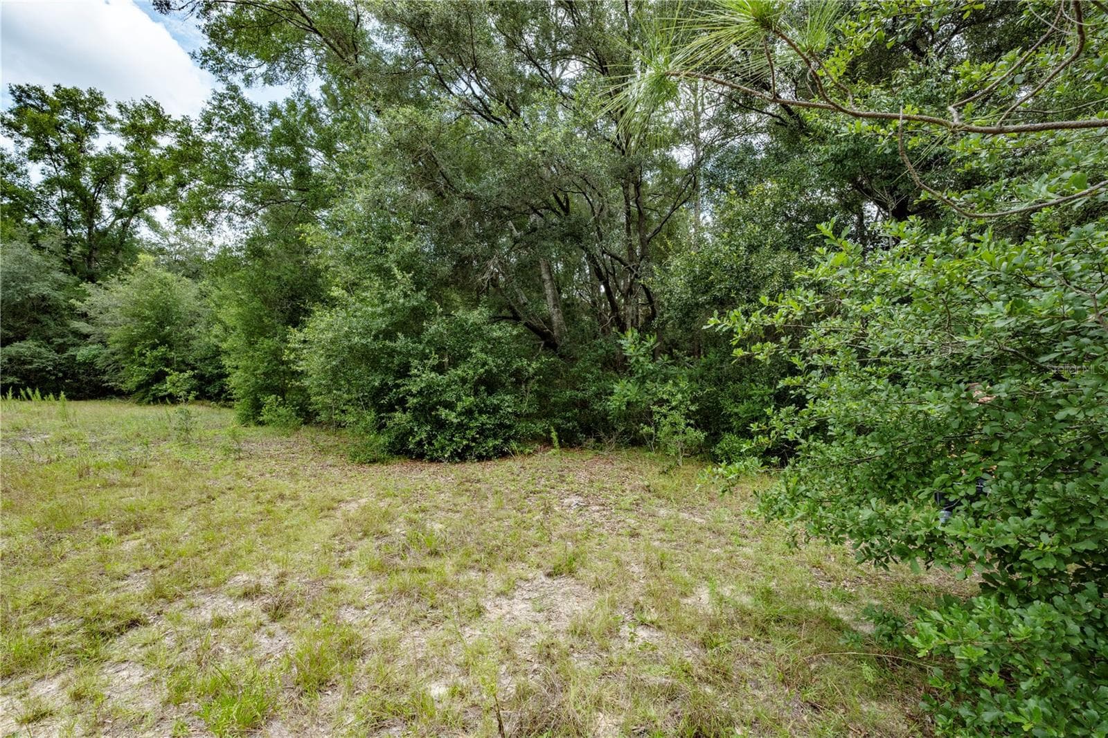 Land at TBD SE 55TH ST, MORRISTON, photo 5 of 14