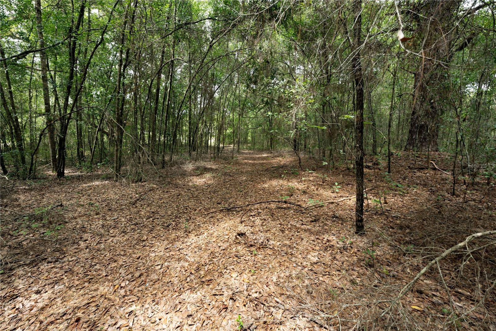 Land at TBD SE 55TH ST, MORRISTON, photo 7 of 14
