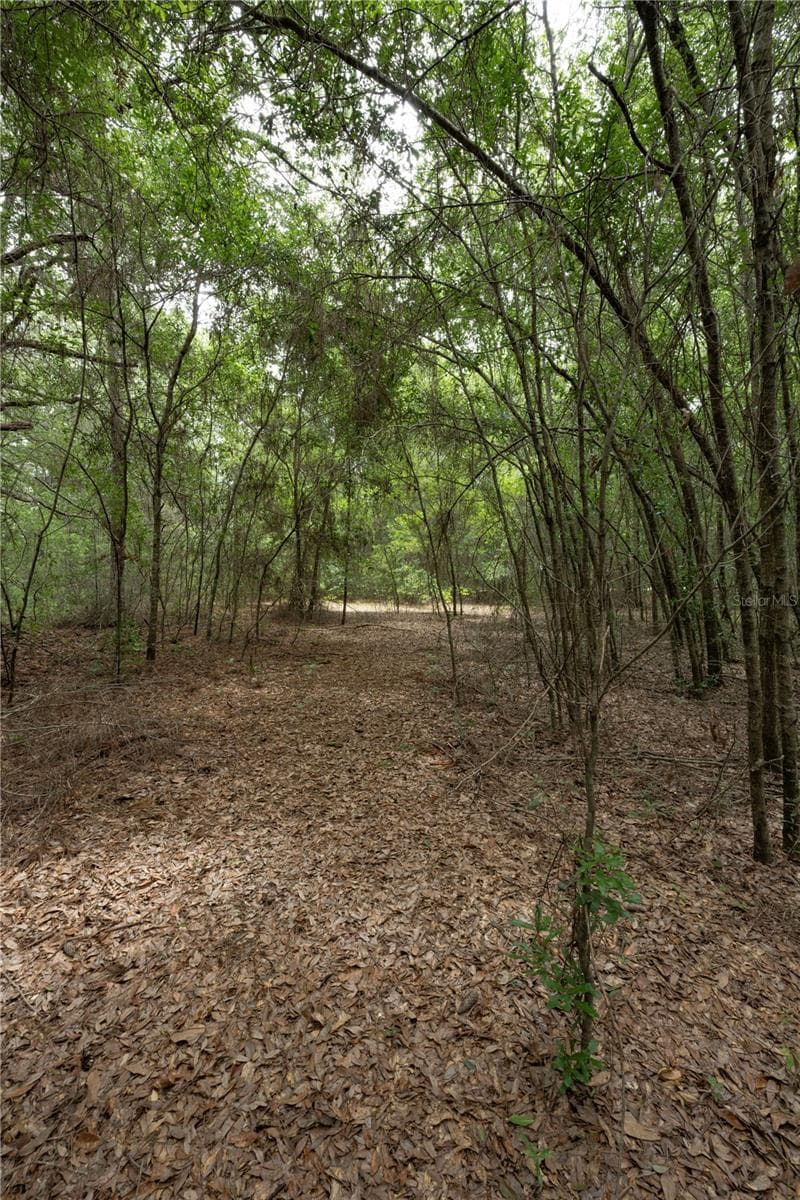 Land at TBD SE 55TH ST, MORRISTON, photo 9 of 14
