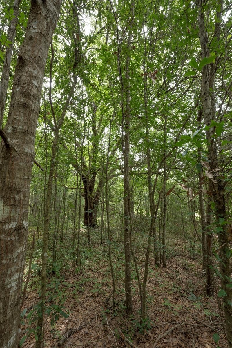 Land at TBD SE 55TH ST, MORRISTON, photo 11 of 14
