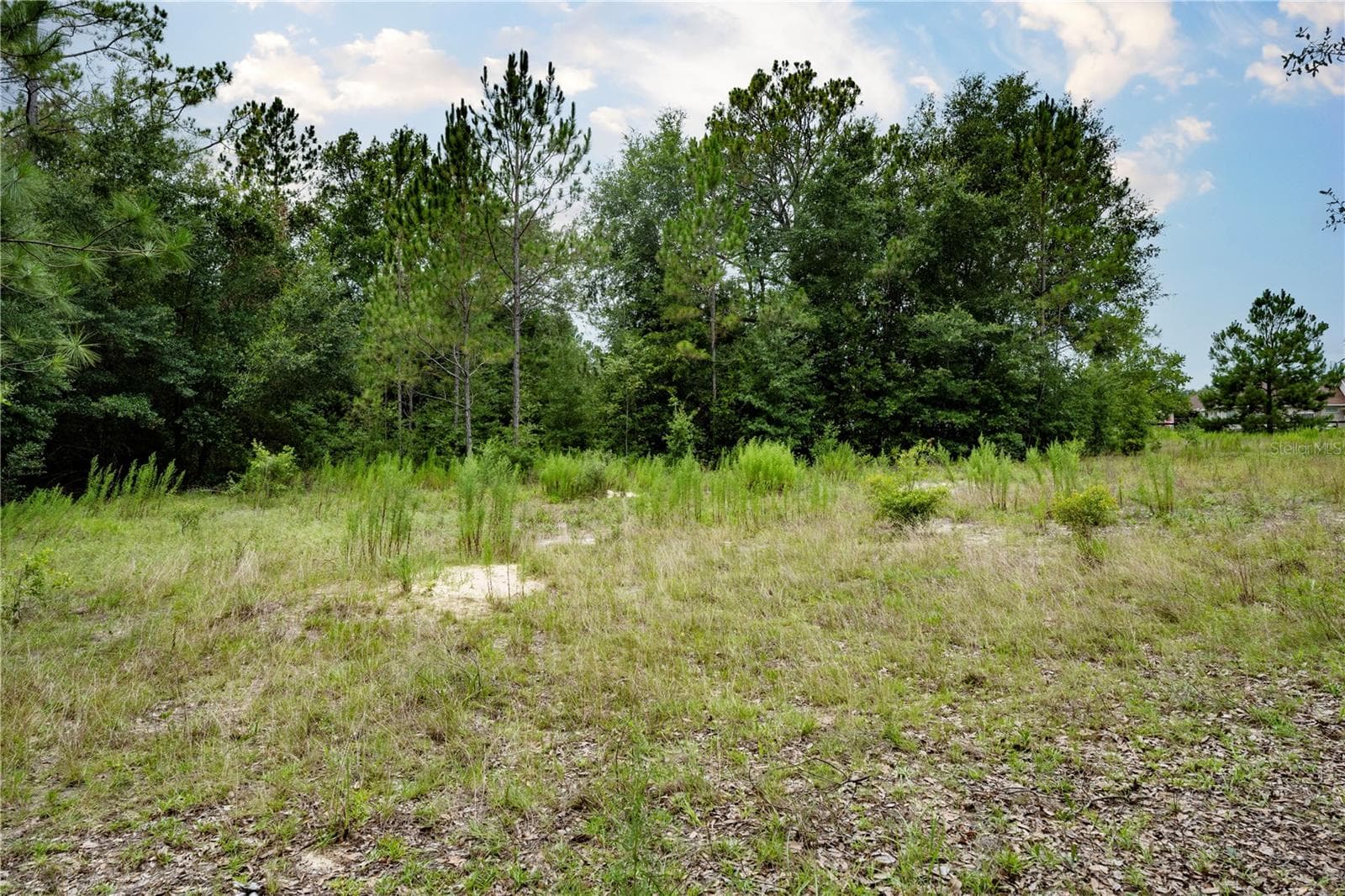 Land at TBD SE 55TH ST, MORRISTON, photo 12 of 14