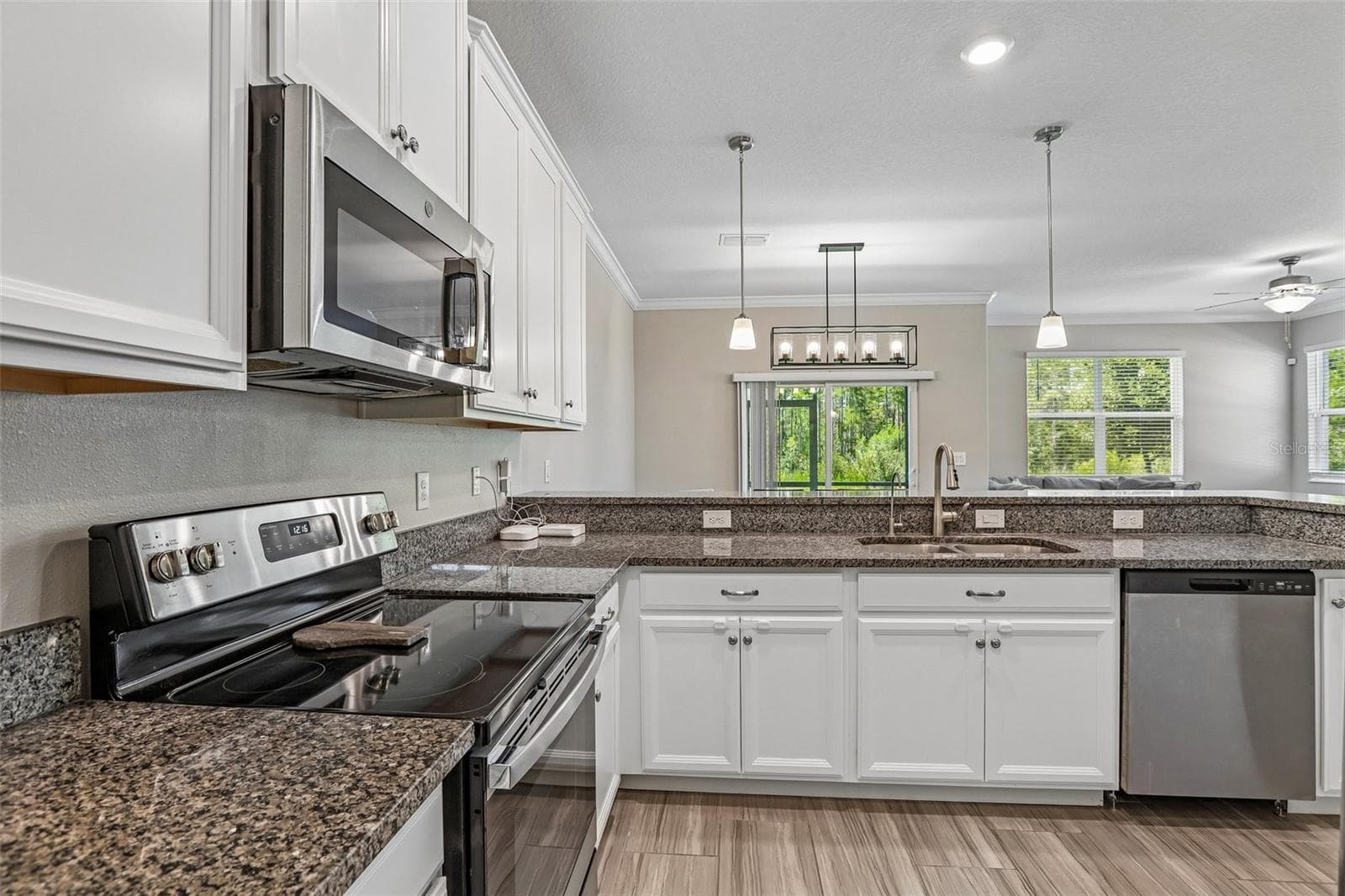 Townhouse at 17448 RADIANT SHINE WAY, LUTZ, photo 10 of 29