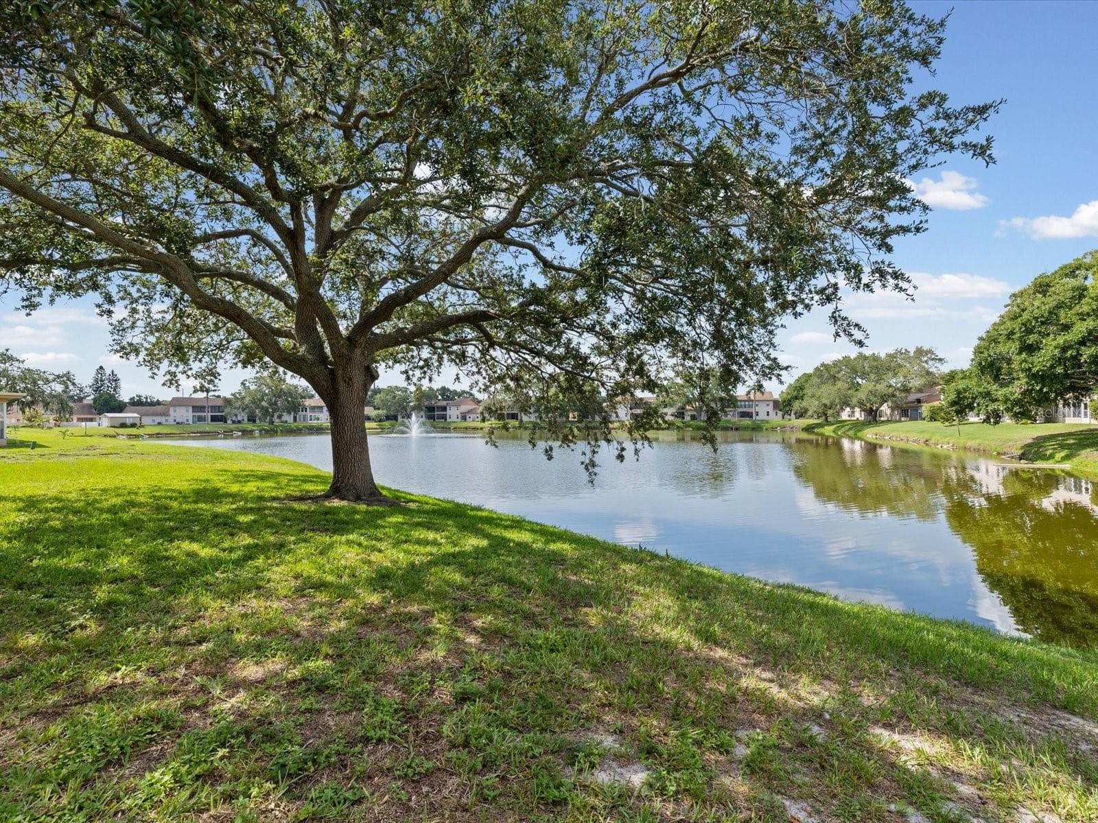Pond View with Water Fountain. NON Flood Zone! - 3806 STAYSAIL LN, HOLIDAY