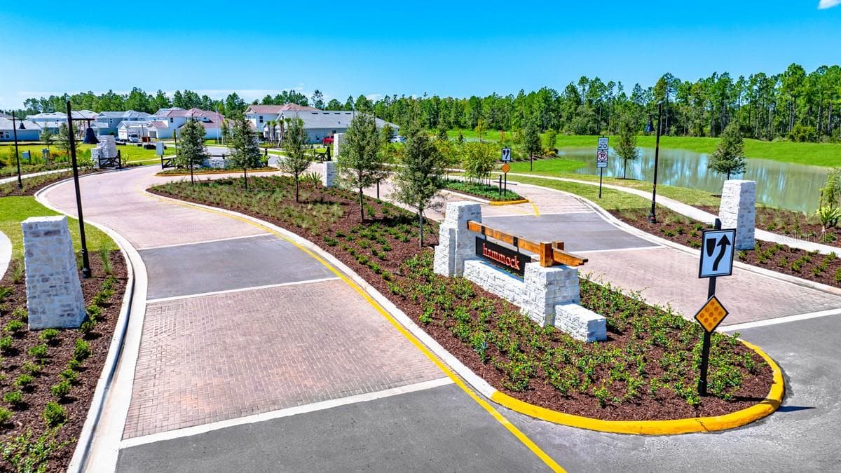 Hammock at Two Rivers Community - 1623 ANSON LN, ZEPHYRHILLS