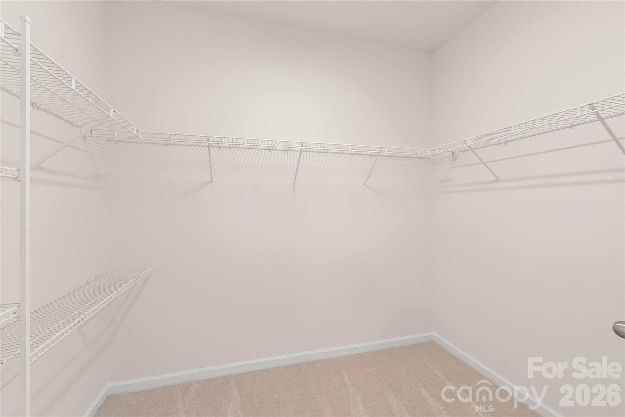 HUGE walk-in closet - 8411 Romana Red Lane, Charlotte