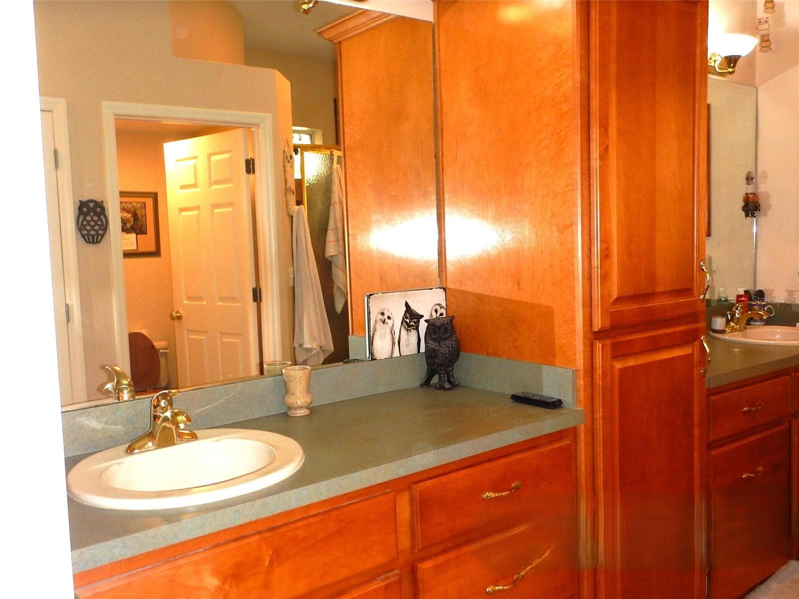 Master Bath - 8315 LILLY LAKE RD, MELROSE