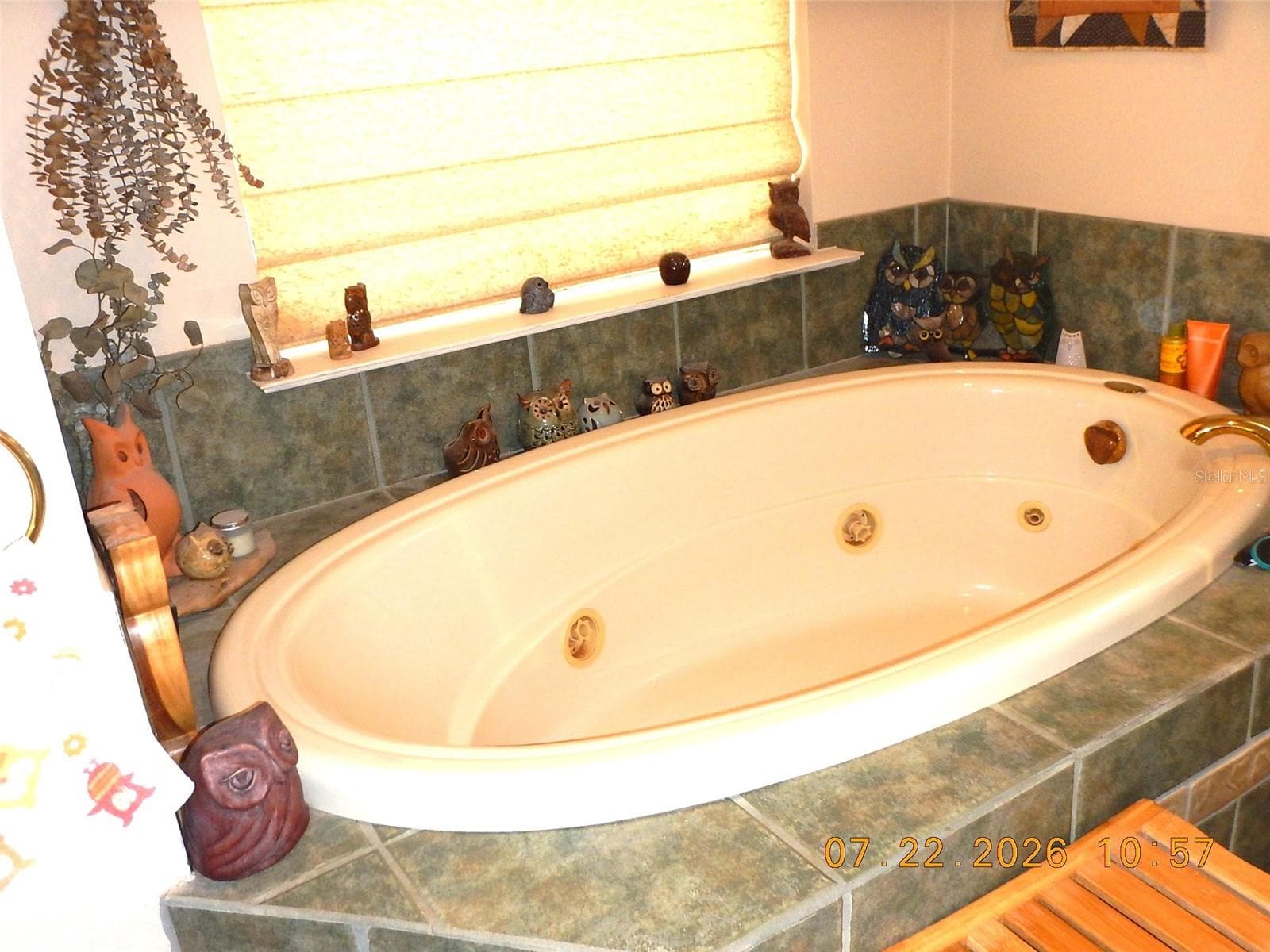 Master Bath - 8315 LILLY LAKE RD, MELROSE