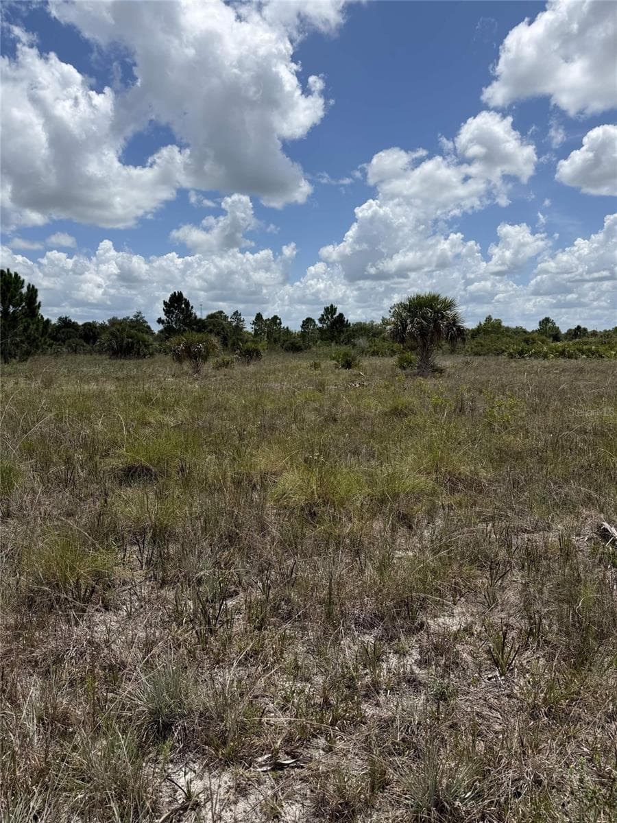 Land at 16916 NW 294TH ST, OKEECHOBEE, photo 2 of 7