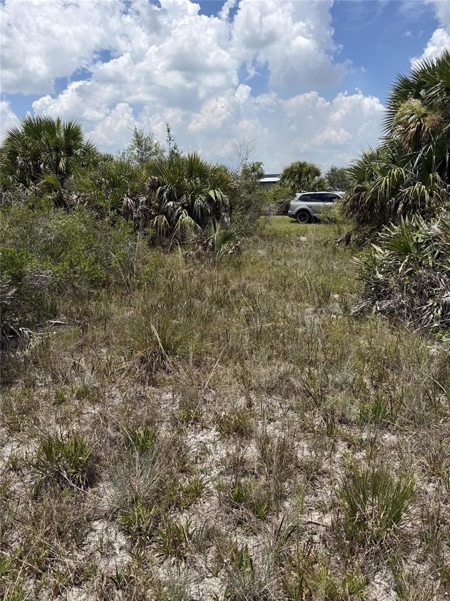 Land at 16916 NW 294TH ST, OKEECHOBEE, photo 7 of 7