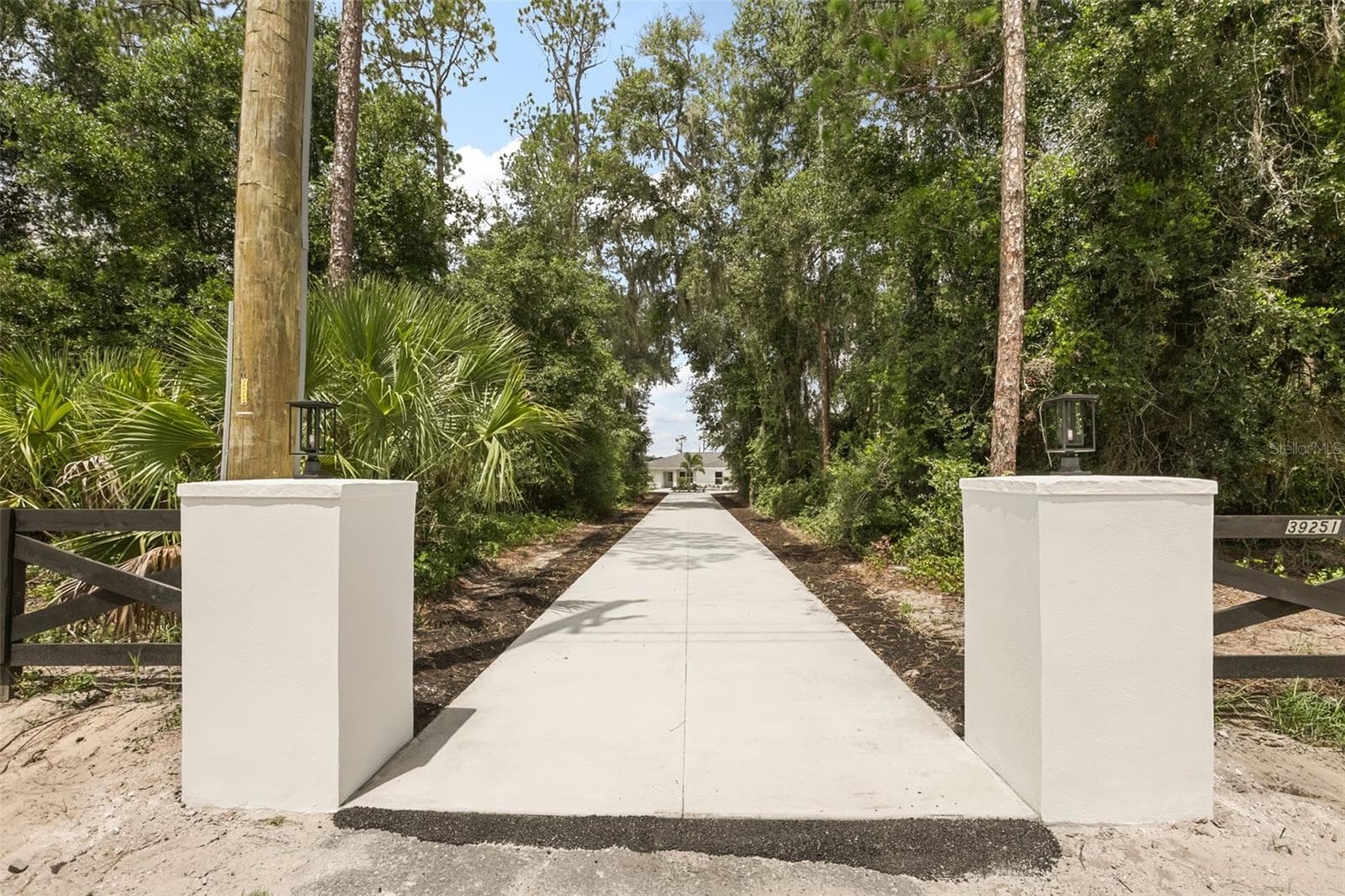 Private entrance with a long tree-lined driveway leading to the home. - 39251 COUNTY ROAD 439, UMATILLA