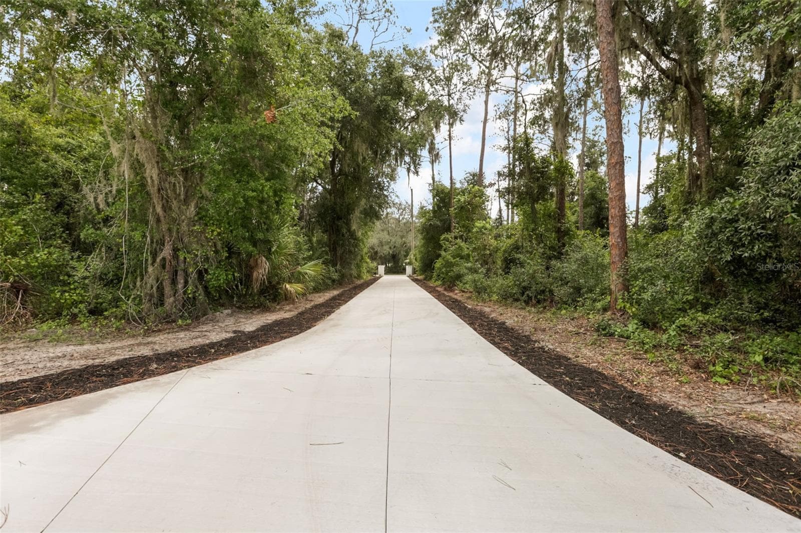 Another view of the private tree-lined driveway leading to the home. - 39251 COUNTY ROAD 439, UMATILLA