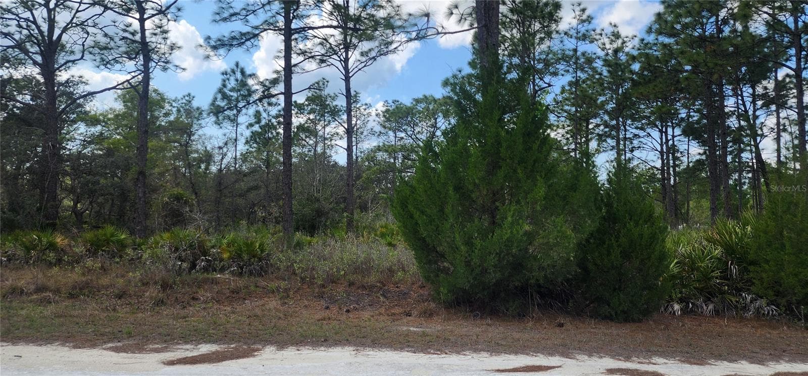 18119 PARROT RD