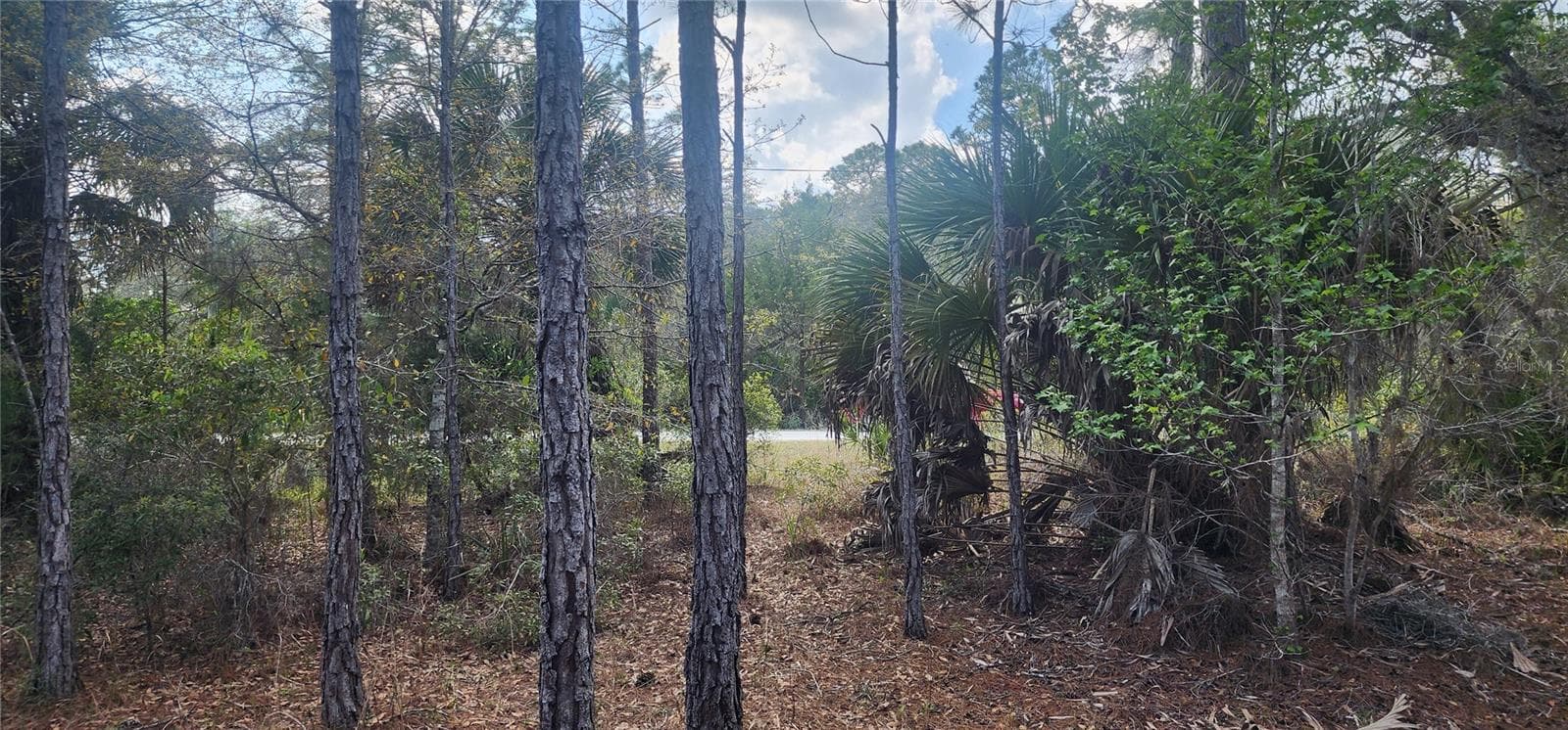 Land at 18164 RETRIEVER RD, WEEKI WACHEE, photo 2 of 4