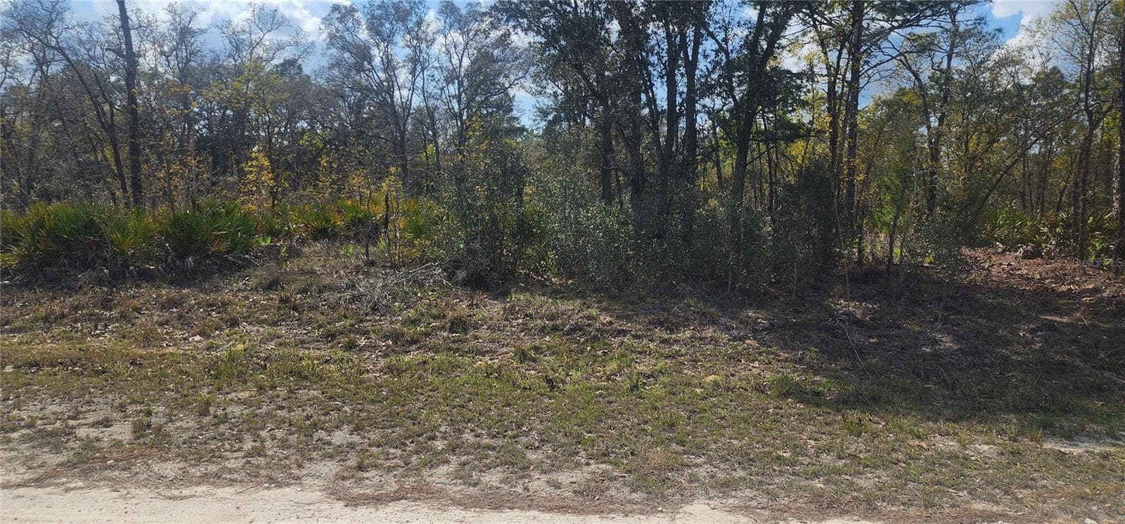 18043 RAMSEY RD