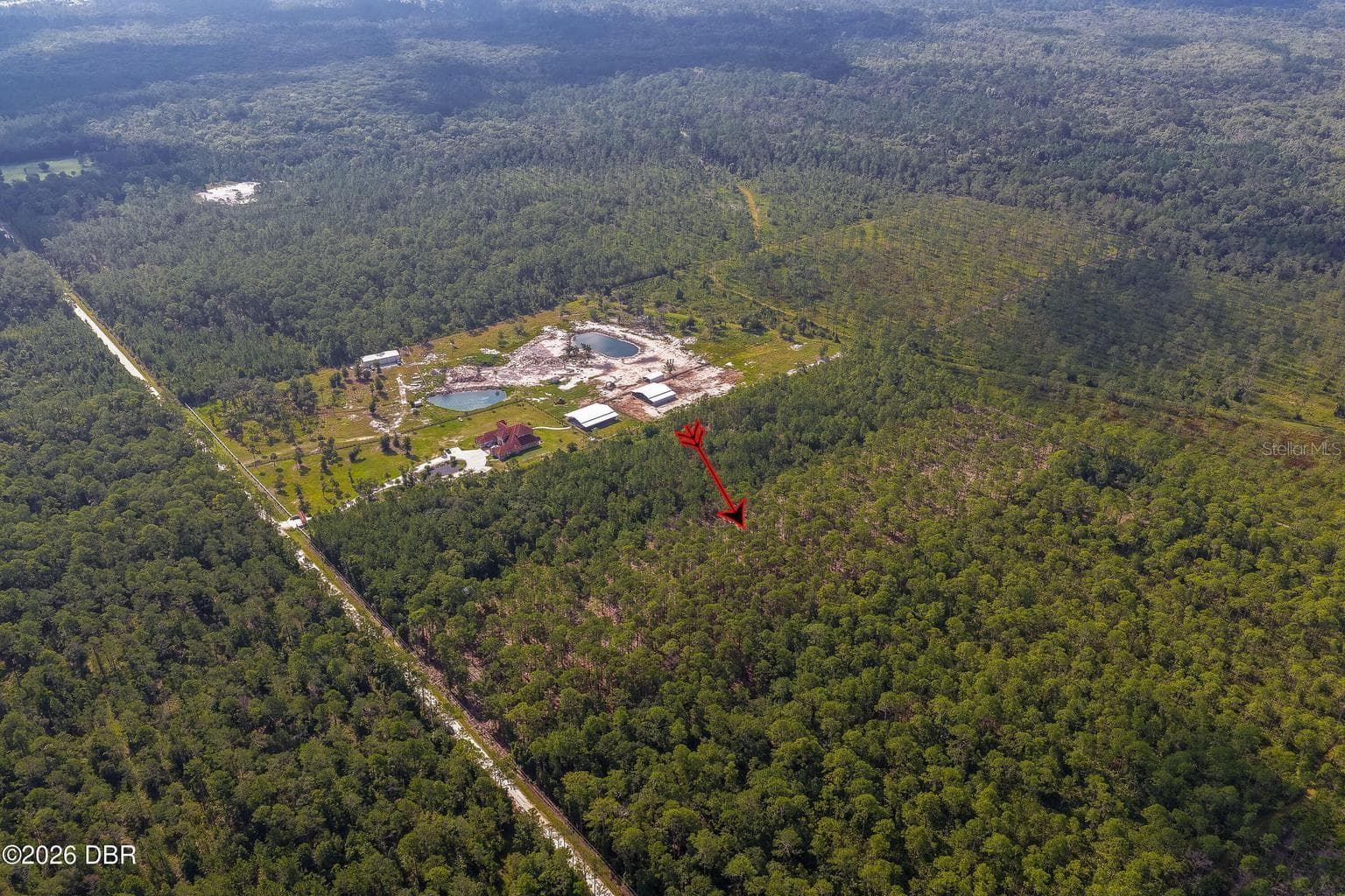 Land at 00 NINEMILE POINT RD, PIERSON, photo 6 of 22