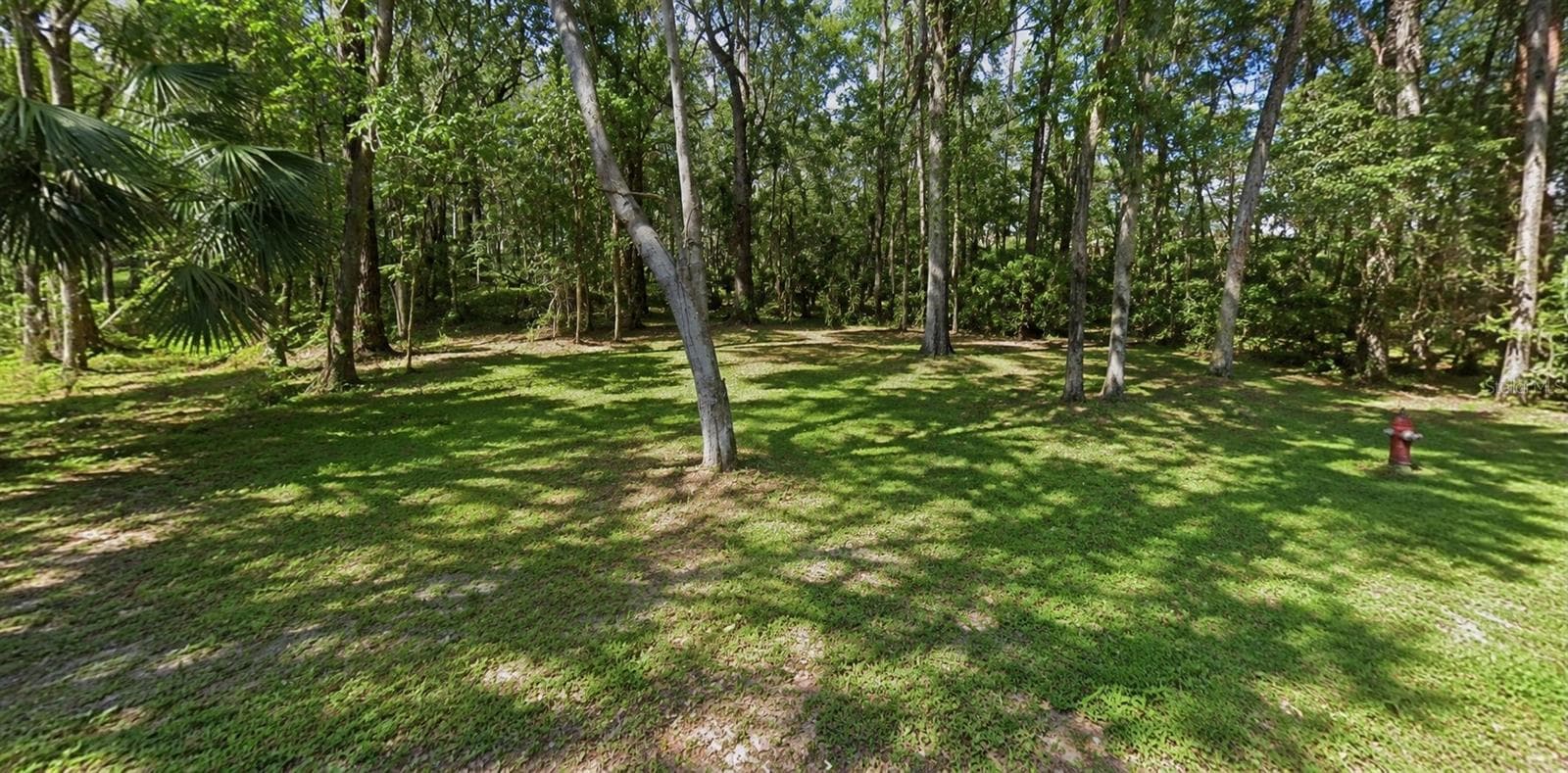 Ground View - OAKDALE AVE, BROOKSVILLE