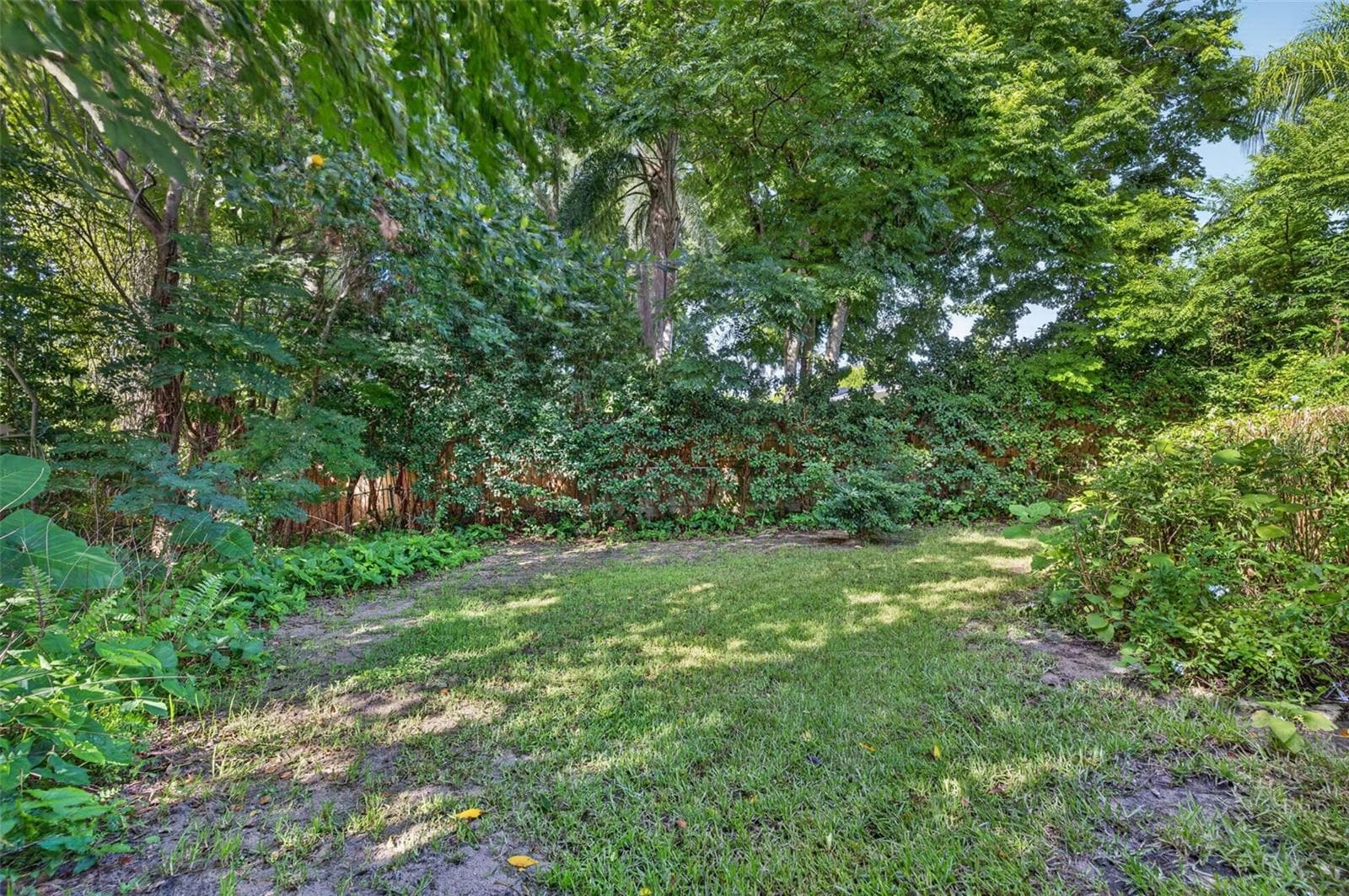 Wooded backyard - 2051 DYAN WAY, MAITLAND