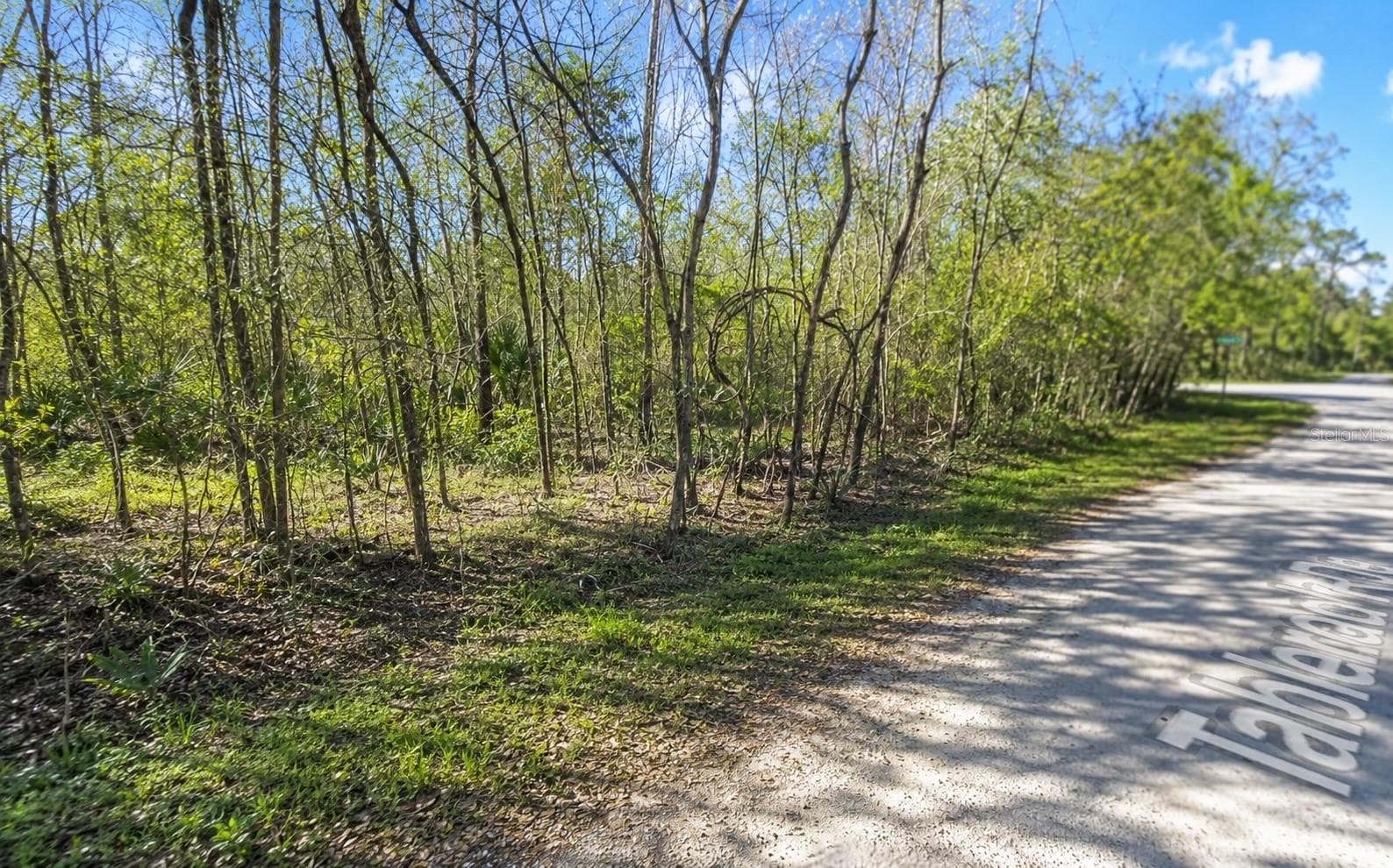 Land at MILLROCK ST, WEBSTER, photo 3 of 3