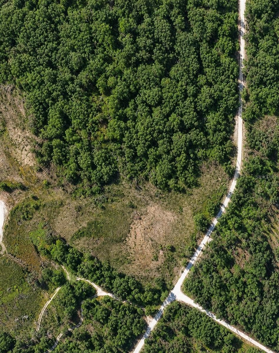 Land at CORAL ROCK DR, WEBSTER, photo 2 of 3