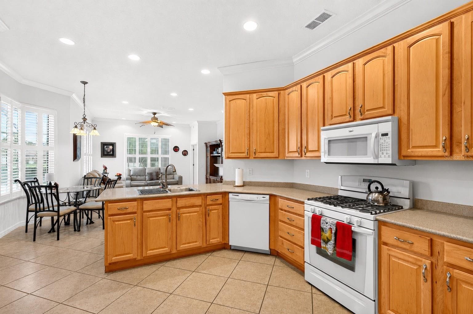 Single Family Residence at 8616 SW 82ND TER, OCALA, photo 9 of 40