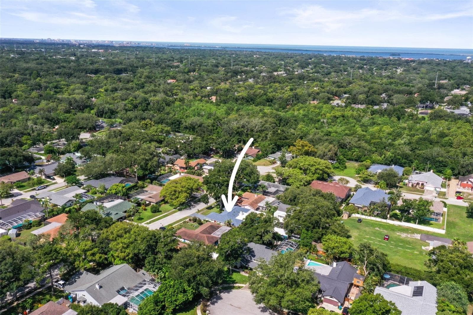 Single Family Residence at 1981 CASTILLE DR, DUNEDIN, photo 49 of 51