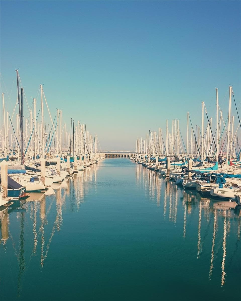 Sarasota points of interest - 7917 PINEGROVE CT #1, SARASOTA