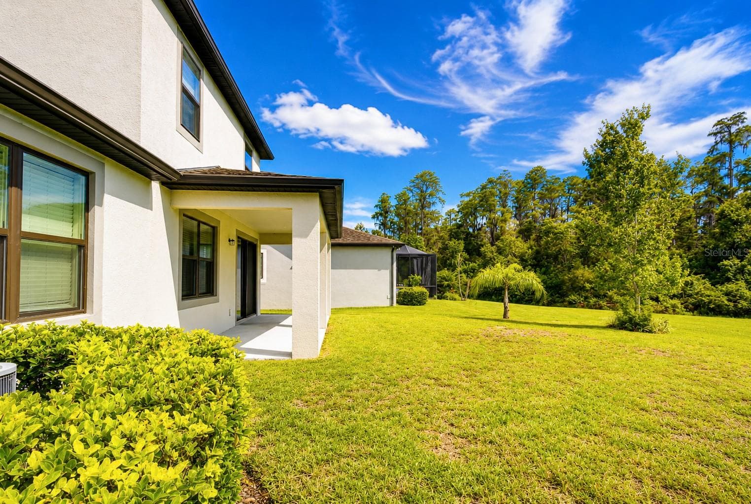 Single Family Residence at 1621 LEAF FLOWER LN, LUTZ, photo 9 of 78