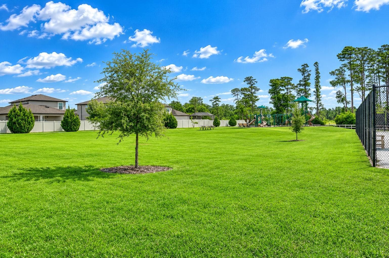 Single Family Residence at 1621 LEAF FLOWER LN, LUTZ, photo 59 of 78