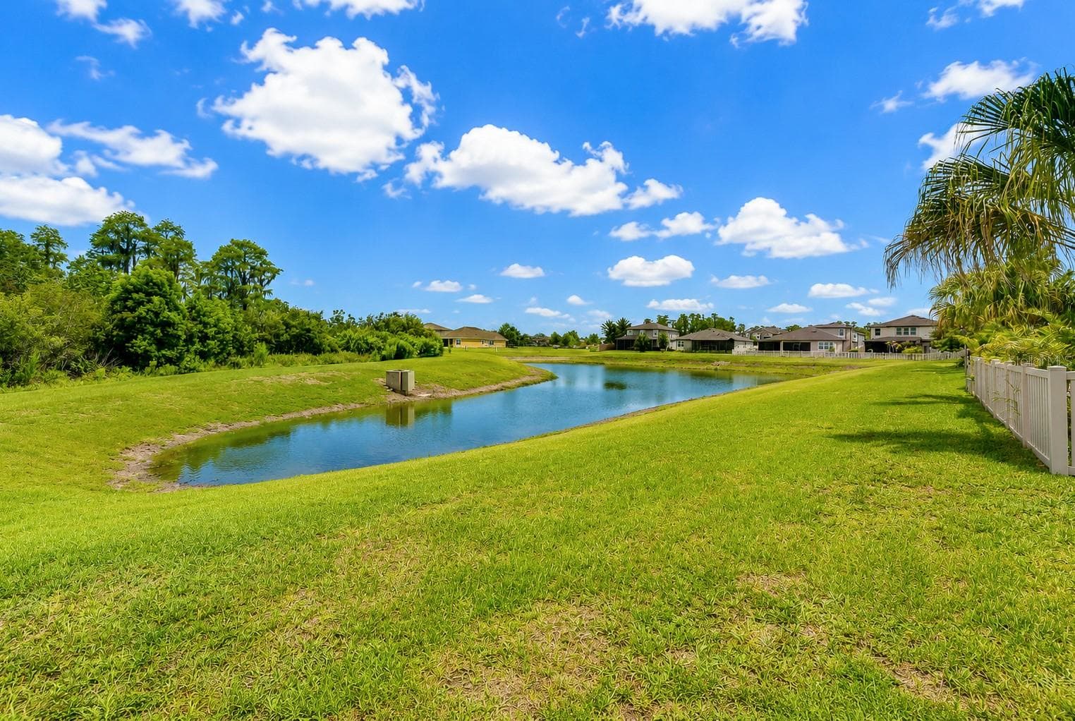 Single Family Residence at 1621 LEAF FLOWER LN, LUTZ, photo 60 of 78