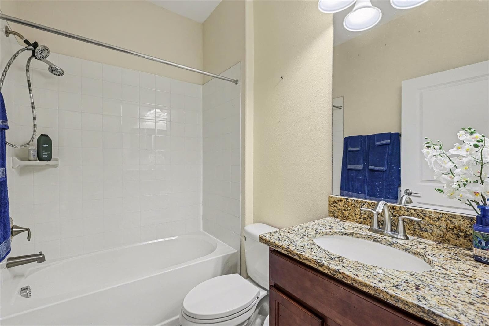 Single Family Residence at 12005 CINNAMON FERN DR, RIVERVIEW, photo 19 of 25