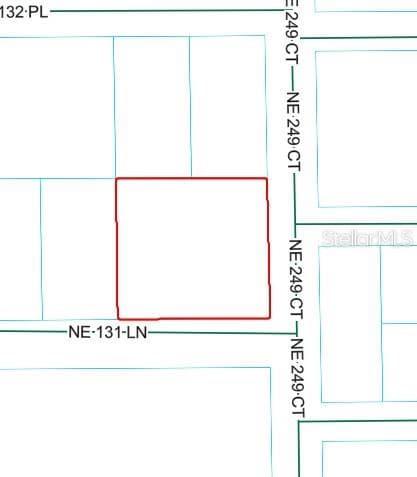 Land at NE 249TH CT, SALT SPRINGS, photo 2 of 3