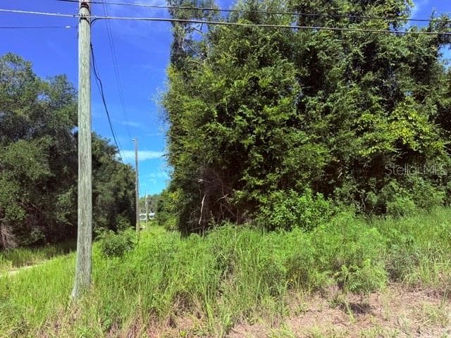 Land at NE 249TH CT, SALT SPRINGS, photo 3 of 3