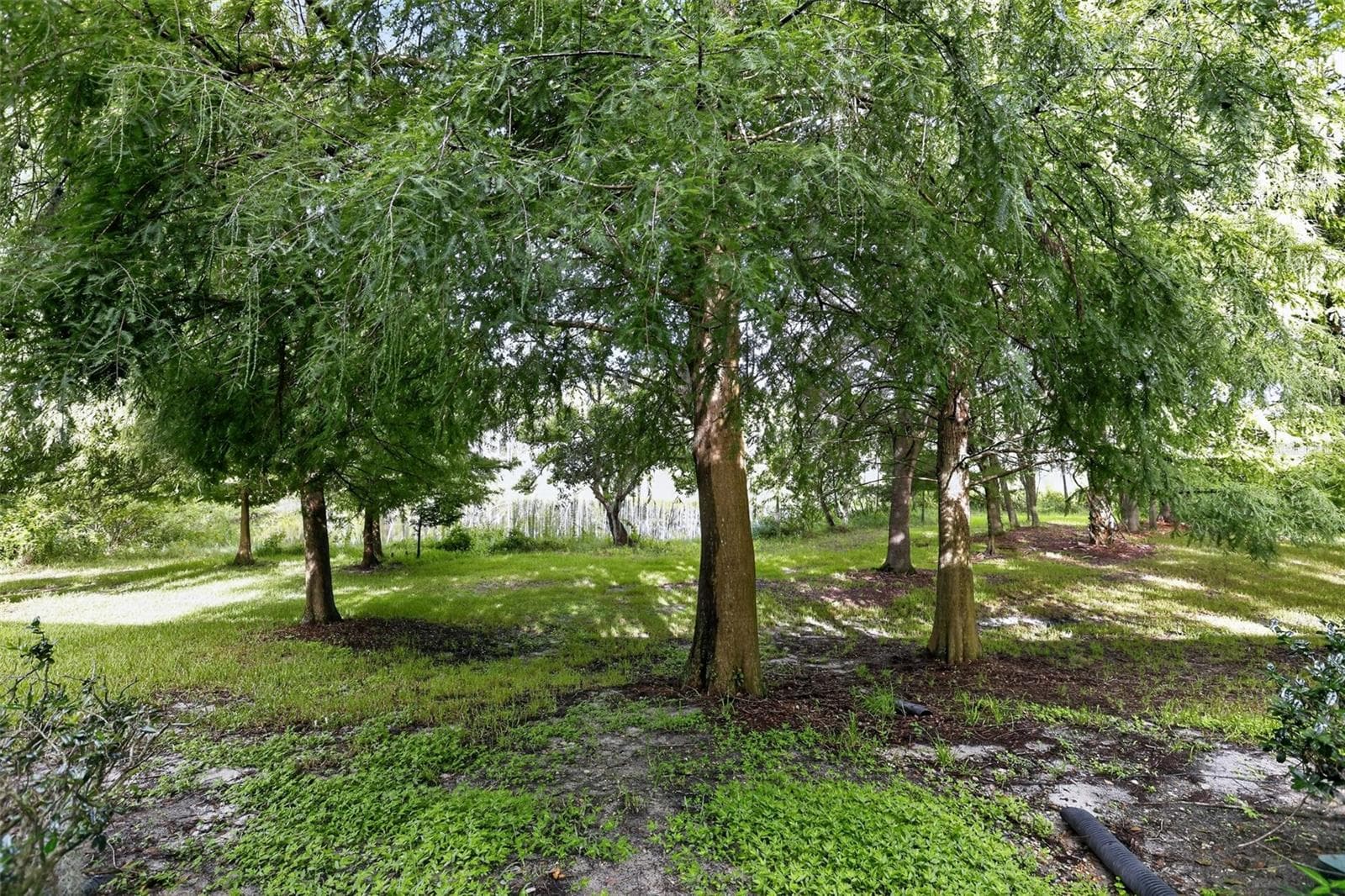 Townhouse at 866 VINELAND PL, LAKE MARY, photo 29 of 29