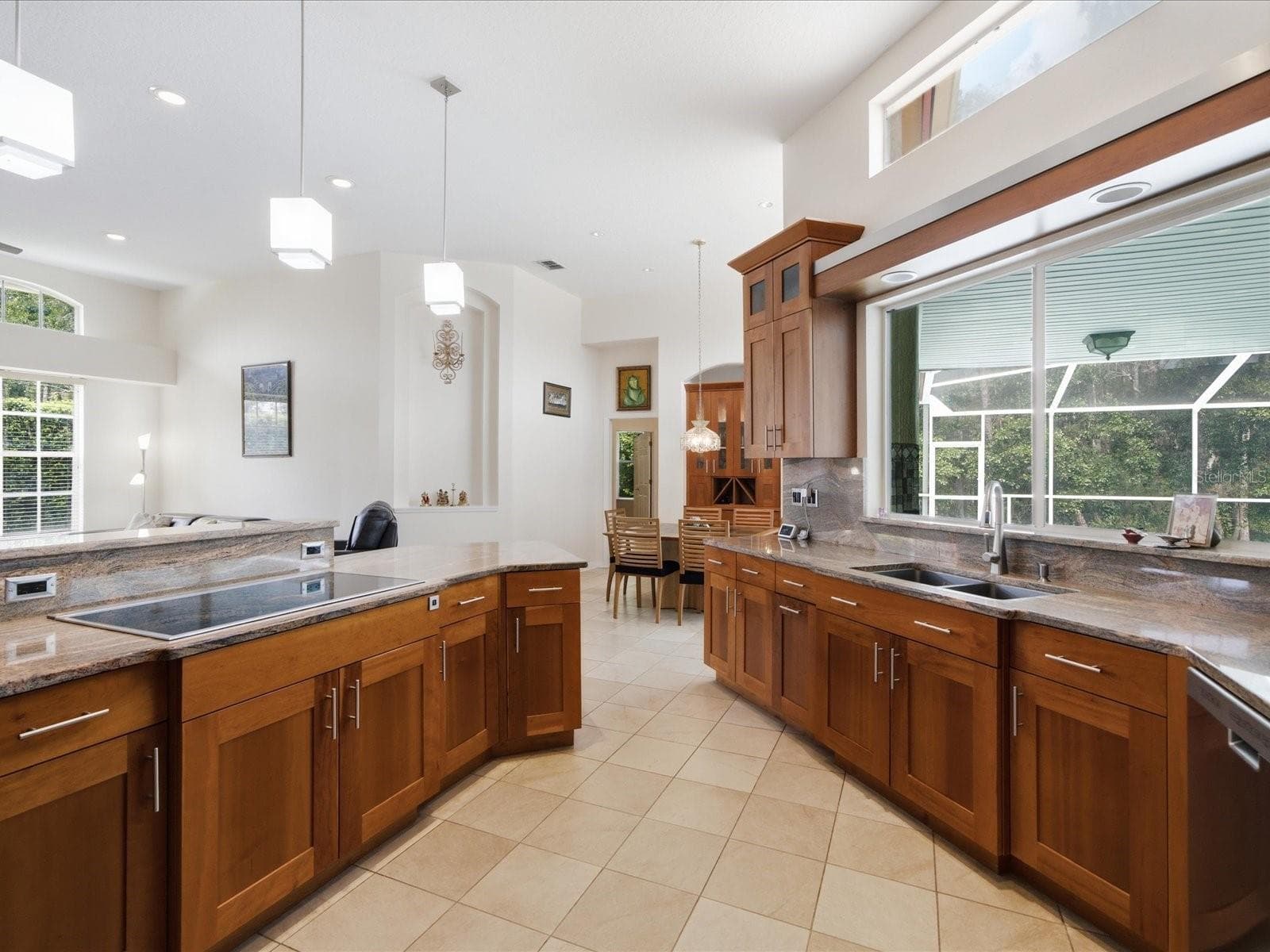 Single Family Residence at 18621 AVENUE CAPRI, LUTZ, photo 21 of 78