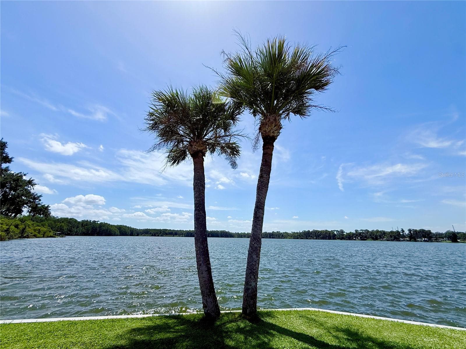 Land at 29 CLUB HOUSE, EUSTIS, photo 12 of 26
