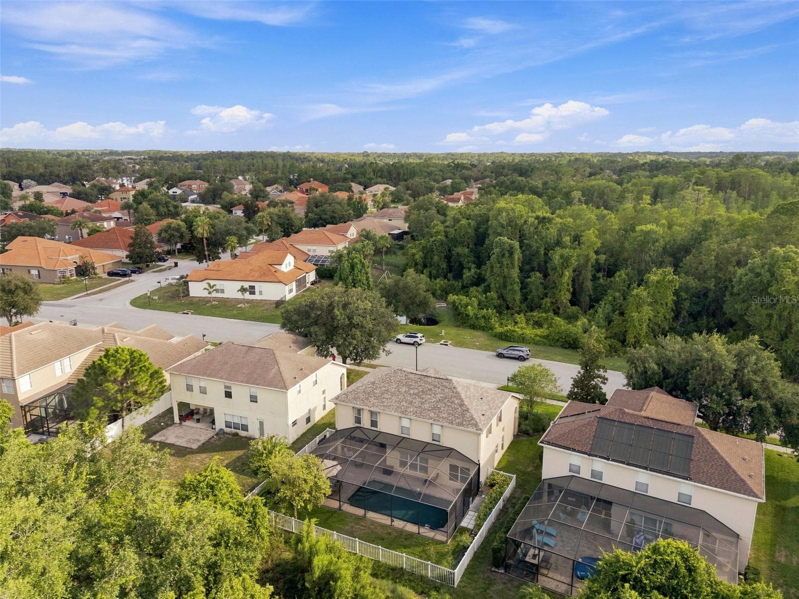 Surrounded by nature. - 11507 BELLE HAVEN DR, NEW PORT RICHEY