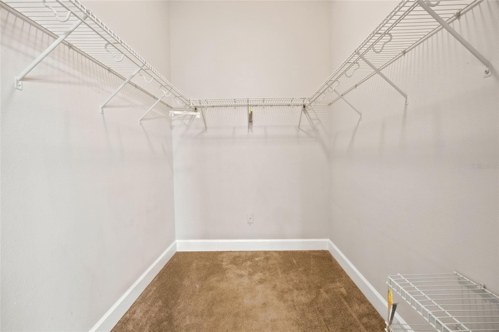 Primary Walk-In Closet - 5517 GREYSTONE DR, SPRING HILL