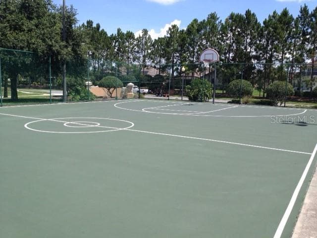 Basketball Courts - 4048 GREYSTONE DR, CLERMONT